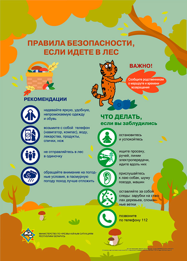 listovki 16 лес 14 07